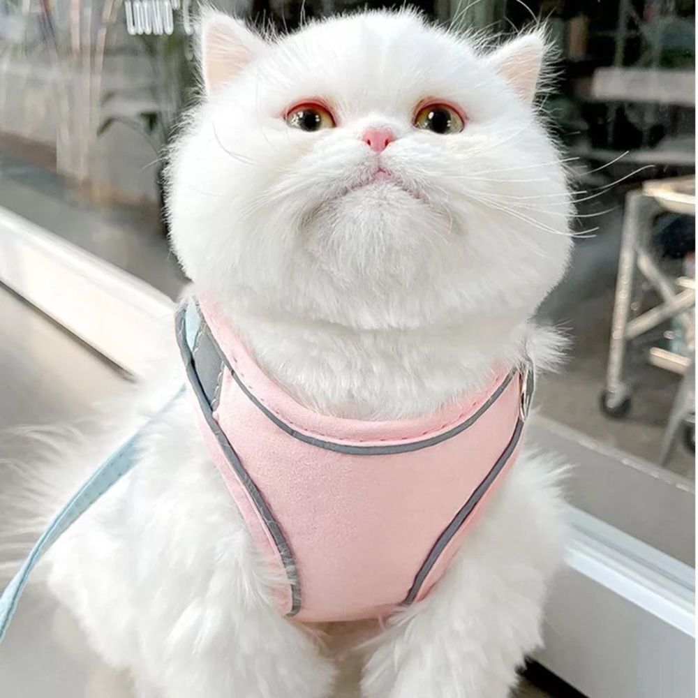 🎯 SALE🎯Cotton Candy Pet Harness and Leash Set - Picture 7 of 7